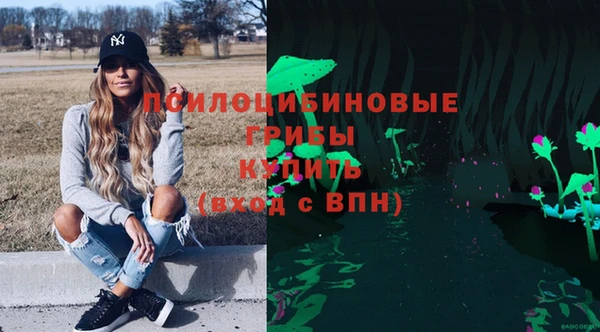 эйфоретик Алексин