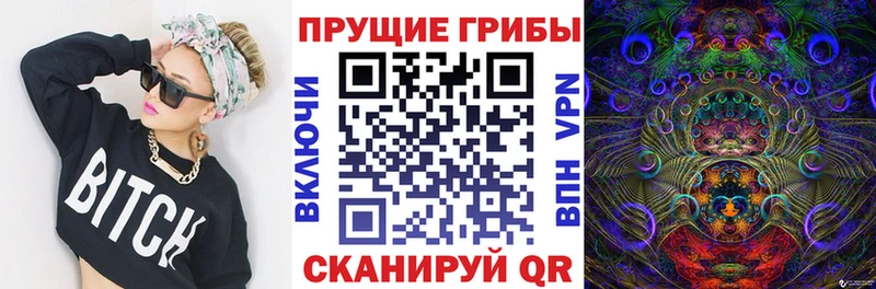 Галлюциногенные грибы MAGIC MUSHROOMS  купить наркотики сайты  Шебекино 