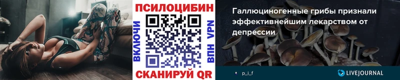 Галлюциногенные грибы MAGIC MUSHROOMS Шебекино
